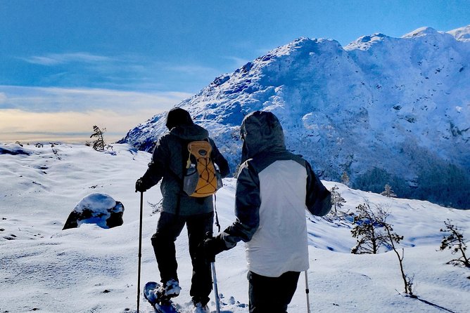 Snowshoe hiking in Bergen - Public tour - Who will enjoy this most?