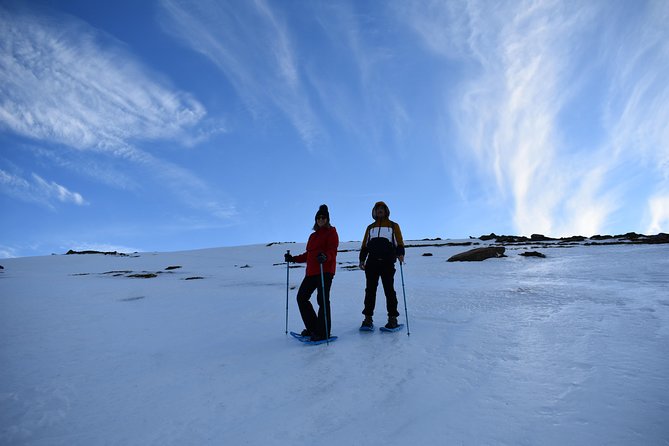 Snowshoe hiking in Sierra Nevada (Granada) - From Granada to the snow at Hoya de la Mora