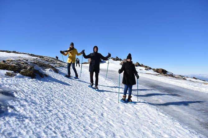 Snowshoe hiking in Sierra Nevada (Granada) - What Julio adds to the experience