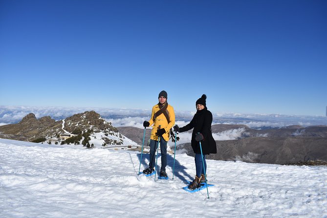 Snowshoe hiking in Sierra Nevada (Granada) - Timing, meeting point, and cancellation details