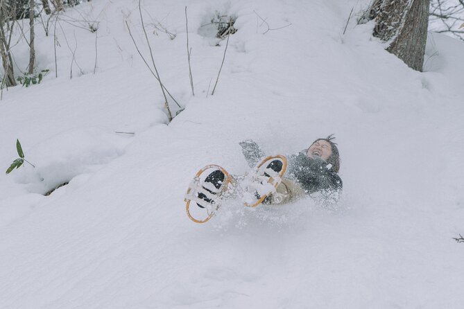 Snowshoe Hiking Tour in Tazawako - Key points to know before booking