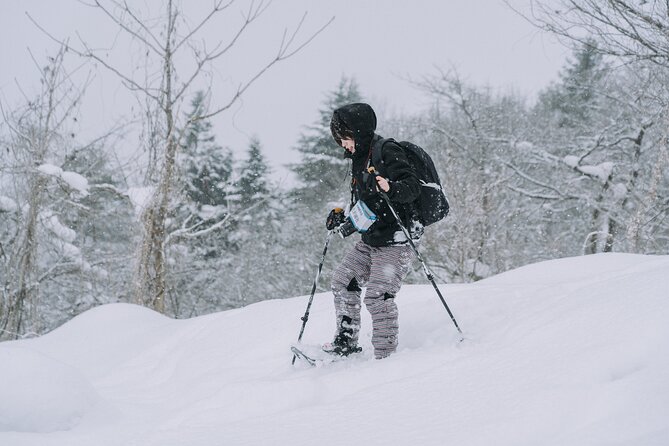 Snowshoe Hiking Tour in Tazawako - The Lake Tazawa viewpoint