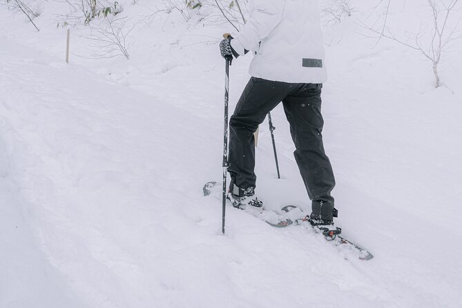 Snowshoe Hiking Tour in Tazawako - Animal tracks and quiet forest details