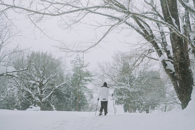 Snowshoe Hiking Tour in Tazawako - Tea, coffee, and local sweets in the snow