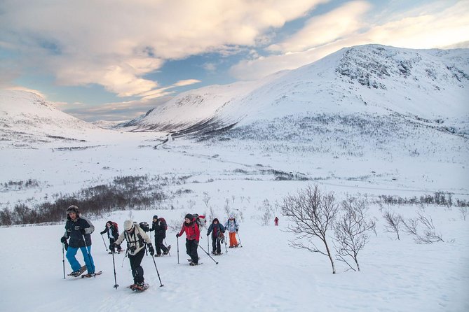 Snowshoe Hill Hike in Tromsø - Key points to know before booking