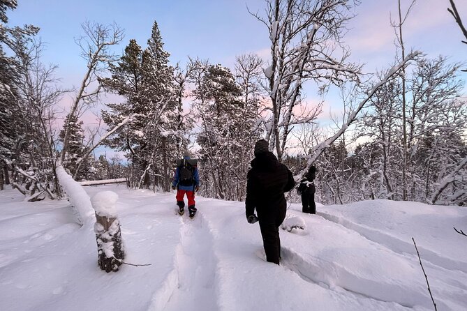 Snowshoe in a Winter Forest - Key points to know before you book