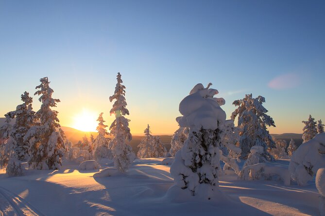 Snowshoe in a Winter Forest - Two hours and fifteen minutes on the forest trail