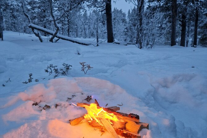Snowshoe in a Winter Forest - Dress for the weather, not for the hotel lobby