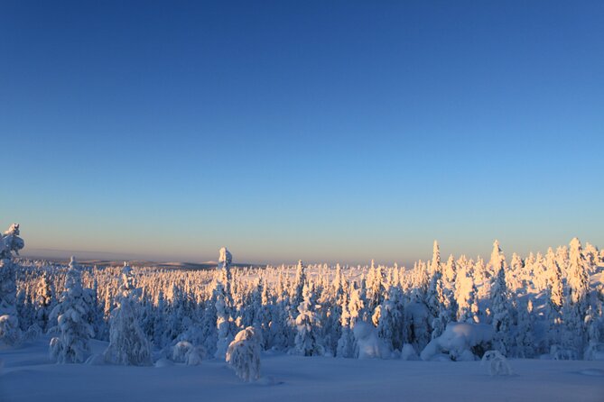 Snowshoe in a Winter Forest - Who should book this activity?