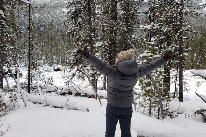 Snowshoe or XC Ski in North Yellowstone (Half Day) - What five hours feels like on the snow