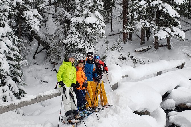 Snowshoe or XC Ski in North Yellowstone (Half Day) - Mammoth, Tower Junction, Lamar Valley, and the Northeast