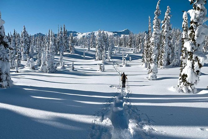 Snowshoe Through Vancouver's Winter Wonderland - Key points at a glance