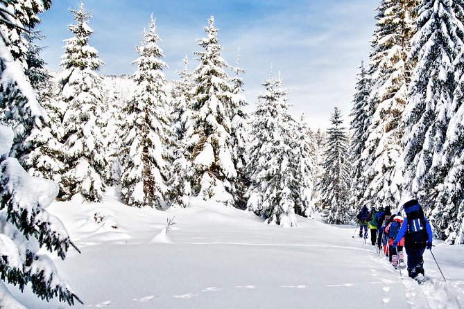 Snowshoe Through Vancouver's Winter Wonderland - Leaving downtown Vancouver for the snow