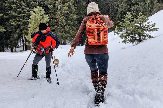 Snowshoe Tour Big Bear Lake with Hot Chocolate - Family and dog considerations