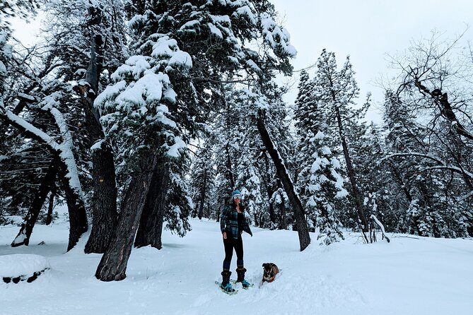 Snowshoe Tour Big Bear Lake with Hot Chocolate - What happens when there is no snow