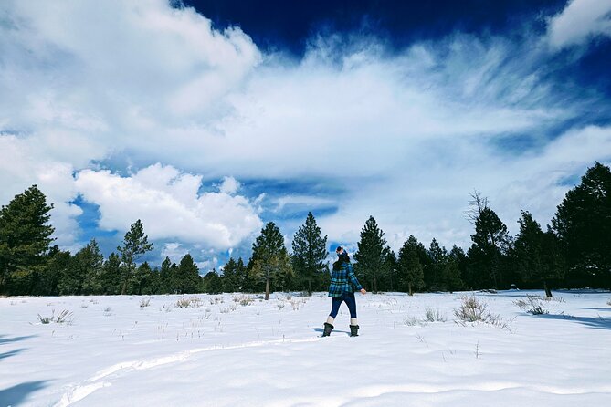 Snowshoe Tour Big Bear Lake with Hot Chocolate - Who gets the most from this experience