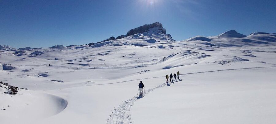 Snowshoe tour Ifen/Gottesacker Allgäu Kleinwalsertal - The guide and the small-group advantage