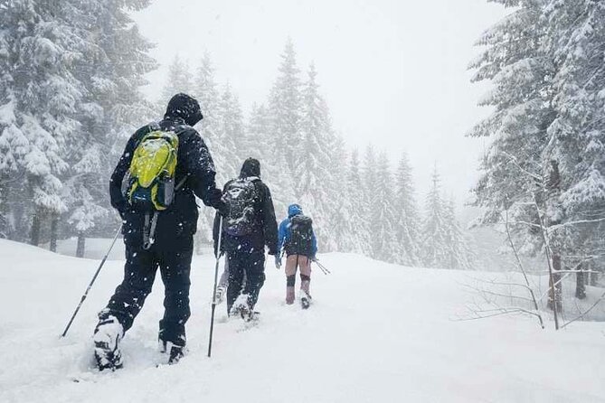 Snowshoe Tour in Winter Wonderland - Oslo - From central Oslo to the Frognerseteren forest