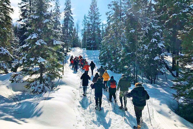 Snowshoe Tour in Winter Wonderland - Oslo - Winter clothing matters more than the equipment