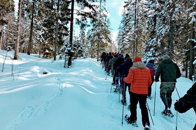 Snowshoe Tour in Winter Wonderland - Oslo - Is $106.65 a fair price?