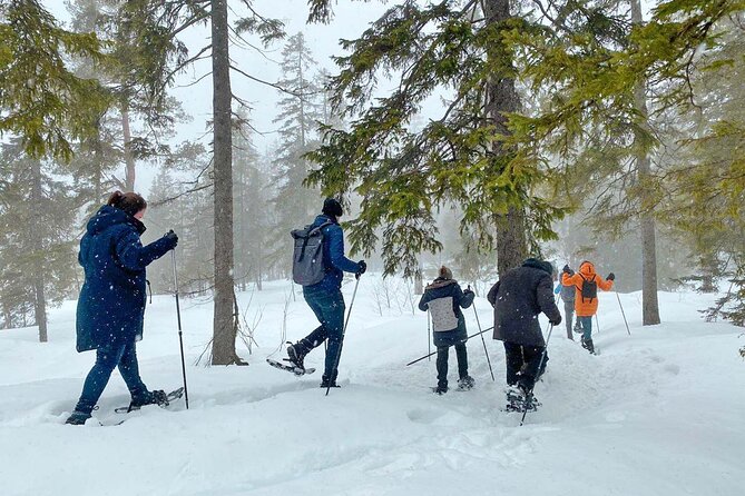 Snowshoe Tour in Winter Wonderland - Oslo - Timing, pace, and what the afternoon looks like