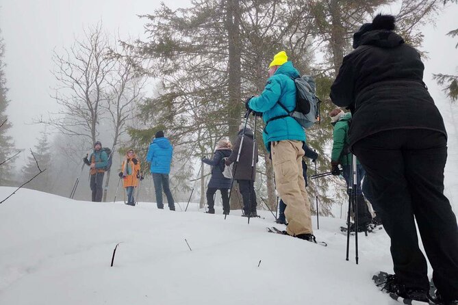 Snowshoe Tour in Winter Wonderland - Oslo - Who should book this Oslo winter outing?