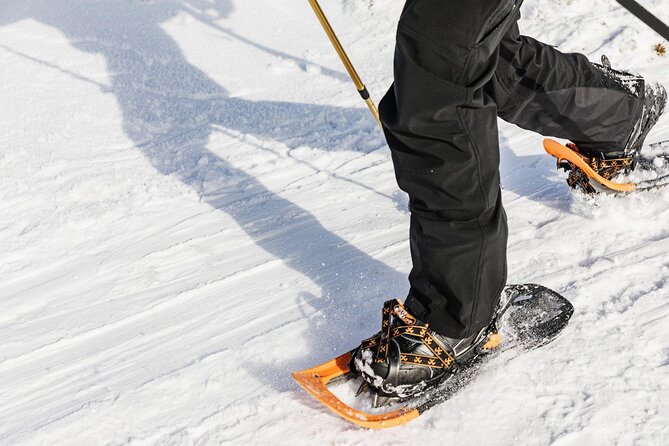 Snowshoe Tour in Winter Wonderland - Oslo - Quiet trails through Oslomarka
