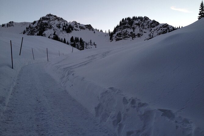 Snowshoe tour on the Schliersee - Why This Schliersee Snowshoe Tour Works