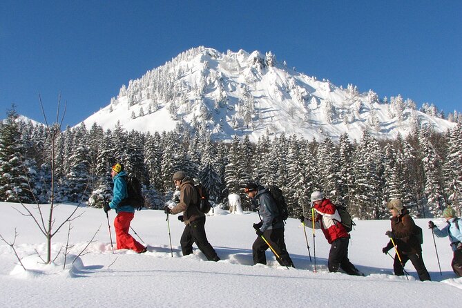 Snowshoe tour on the Schliersee - Views of Schliersee and the Karwendel