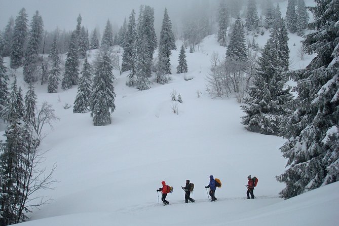 Snowshoe tour on the Schliersee - The Descent Back to the Station