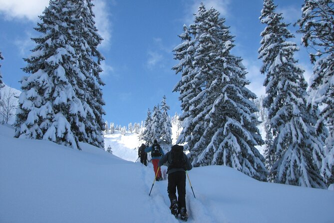 Snowshoe tour on the Schliersee - Who Will Get the Most from This Tour