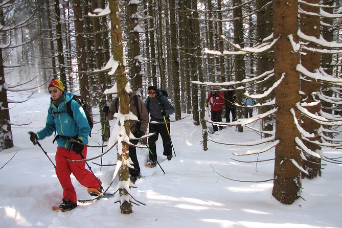 Snowshoe tour on the Schliersee - Learning to Walk on Snowshoes