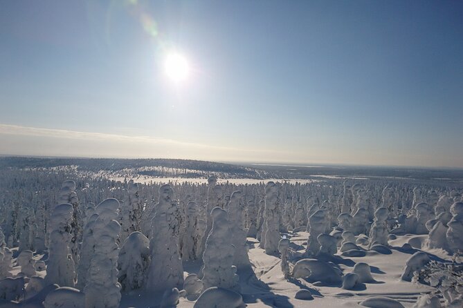 Snowshoe up a Mountain - Why this Kiruna snowshoe trip is worth your afternoon