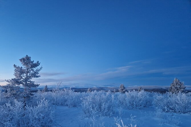 Snowshoe up a Mountain - Reaching the viewpoint above the tree line