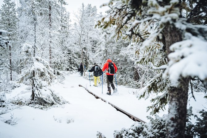 Snowshoe Winter Hike from Stockholm - Leaving Stockholm for a quieter winter
