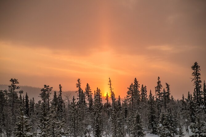 Snowshoe Winter Hike from Stockholm - What the $191.34 price buys you