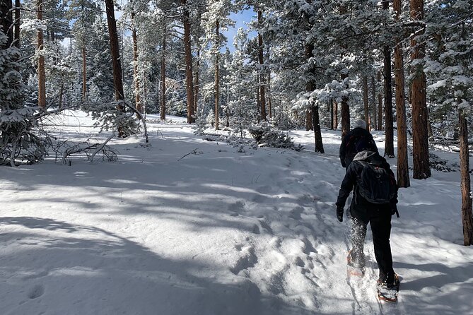 Snowshoeing Adventure in the Rocky Mountains Close to Denver - What the $107.99 price includes