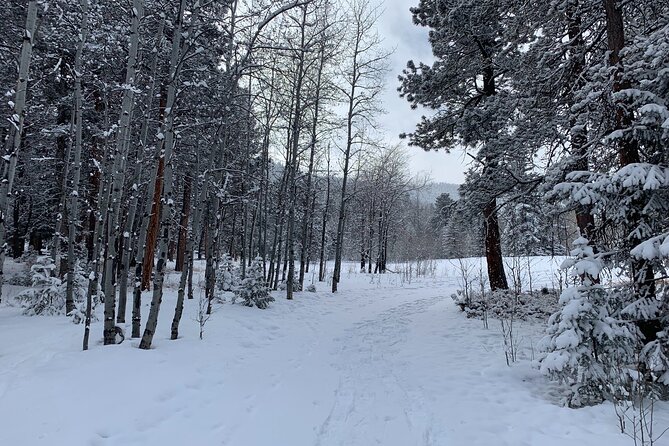 Snowshoeing Adventure in the Rocky Mountains Close to Denver - Who will enjoy this three-hour outing