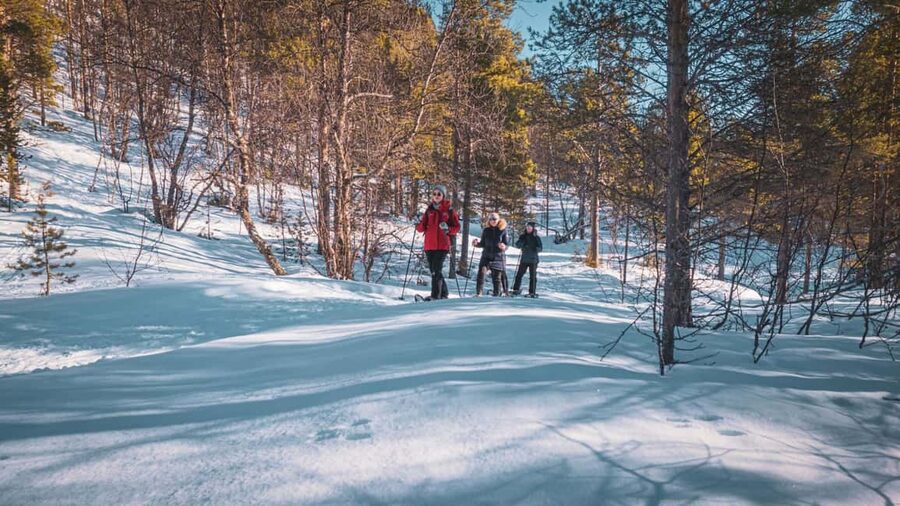 Snowshoeing Adventure to the Enchanting Frozen Waterfall - Seeing the frozen Orvvosfossen waterfall