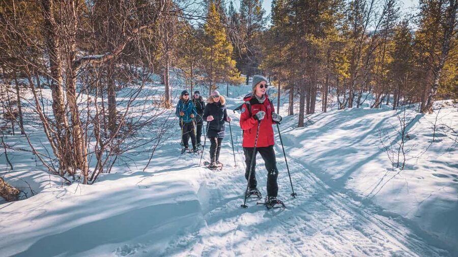 Snowshoeing Adventure to the Enchanting Frozen Waterfall - A guide-led look at Alta and the Gargia Valley