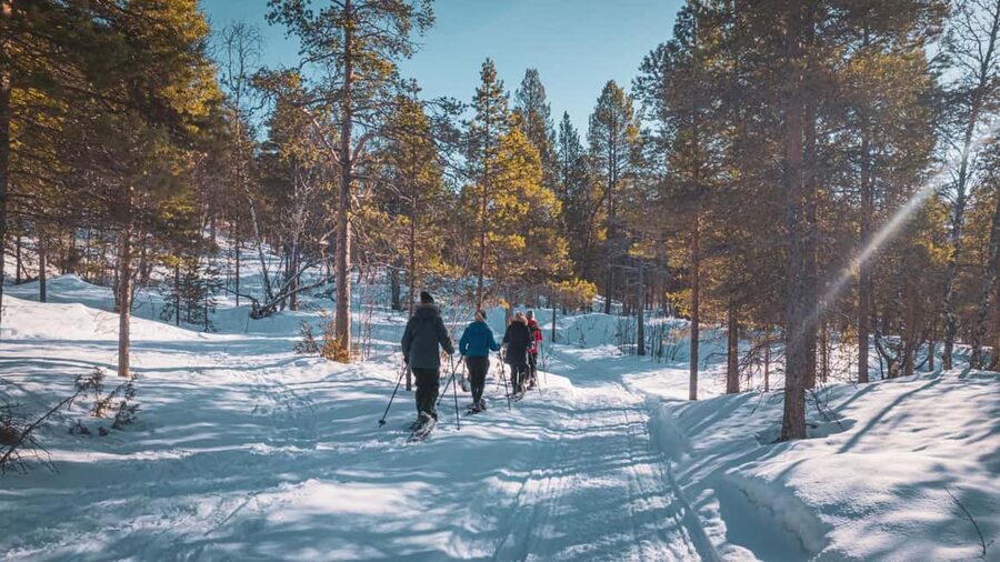 Snowshoeing Adventure to the Enchanting Frozen Waterfall - Light, clothing, and the practical side of winter