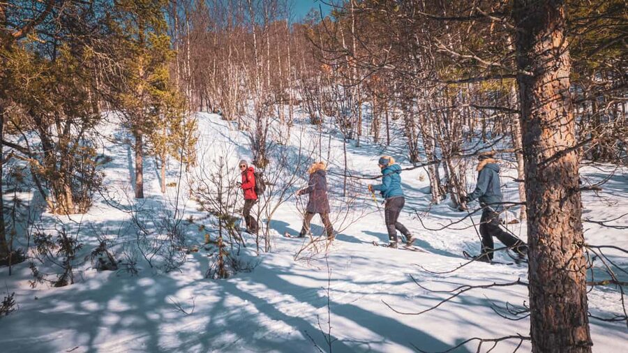 Snowshoeing Adventure to the Enchanting Frozen Waterfall - What the $187 price includes
