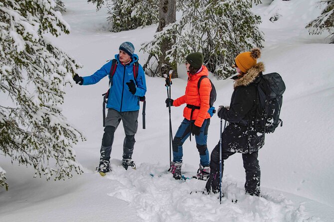 Snowshoeing Adventure with Ice-Fishing, Fire and Survival - A Finnish barbecue snack and time to ask questions