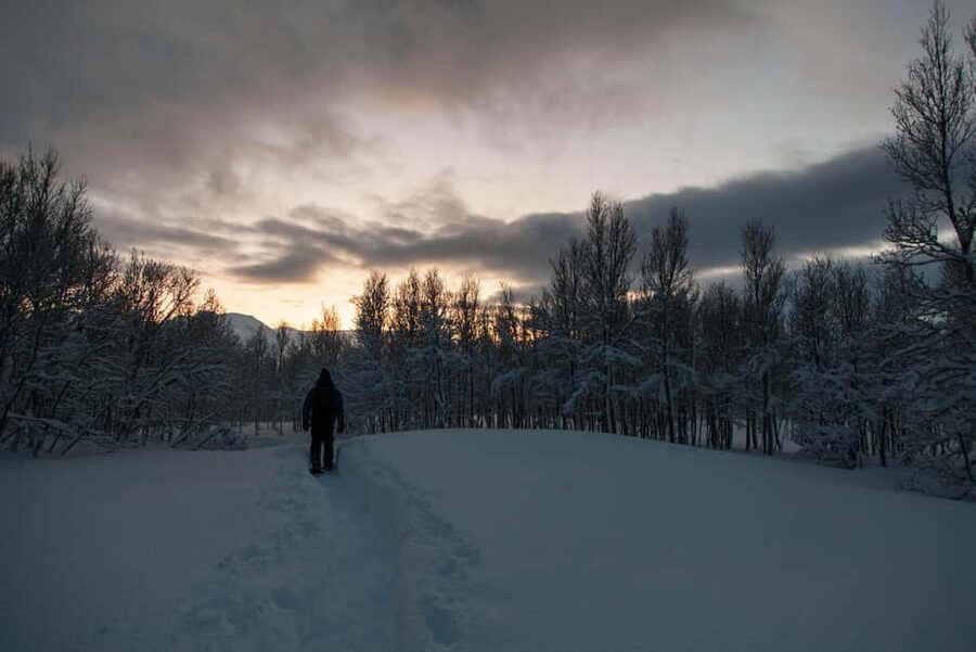 Snowshoeing and intimate discovery of Lofoten in French - Meeting Near Leknes or Svolvær