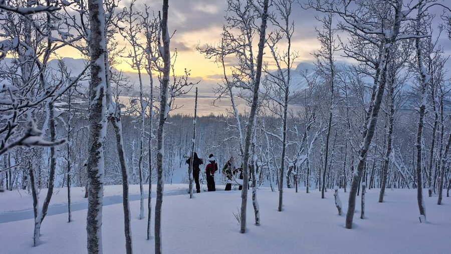 Snowshoeing and intimate discovery of Lofoten in French - Four Hours Through Changing Winter Terrain