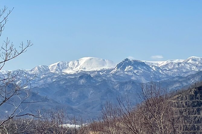 Snowshoeing and Onsen Adventures in a Winter Wonderland -Sapporo. - At a glance