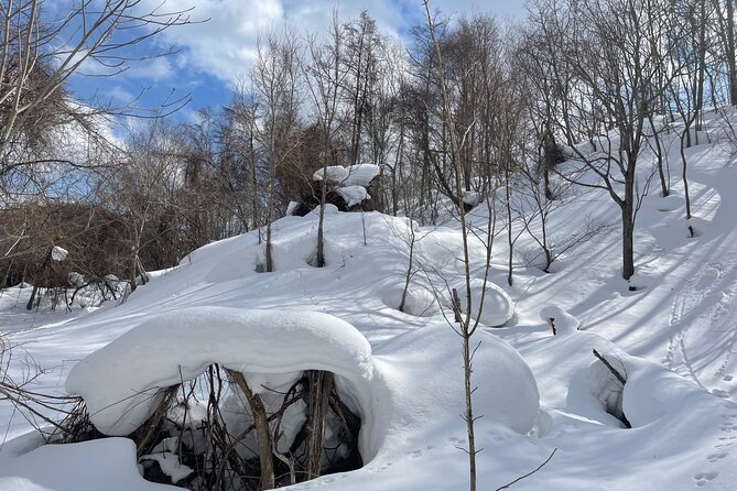 Snowshoeing and Onsen Adventures in a Winter Wonderland -Sapporo. - Lunch in the snow