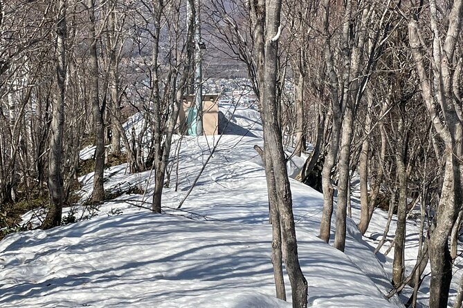 Snowshoeing and Onsen Adventures in a Winter Wonderland -Sapporo. - Why the small group matters