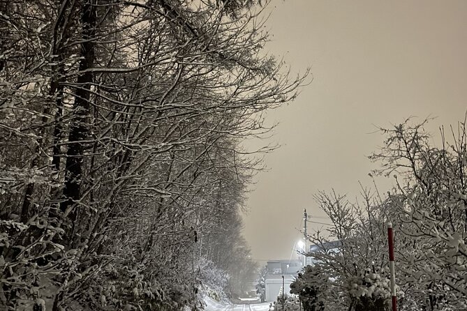Snowshoeing and Onsen Adventures in a Winter Wonderland -Sapporo. - Is $224.02 a fair price?
