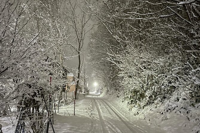 Snowshoeing and Onsen Adventures in a Winter Wonderland -Sapporo. - What to bring and how to prepare